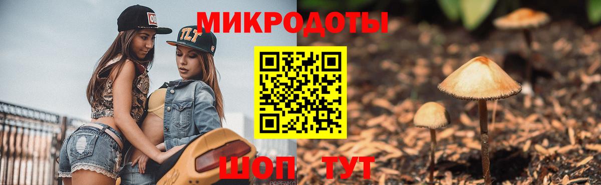Псилоцибиновые грибы прущие грибы Новодвинск