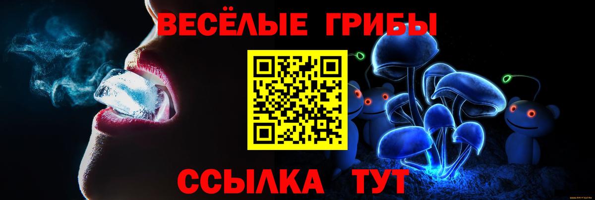 Псилоцибиновые грибы MAGIC MUSHROOMS  Вход с VPN  Новодвинск 